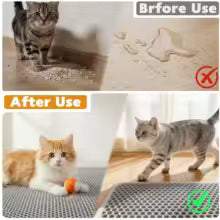 Cat Litter Mat Double Layer